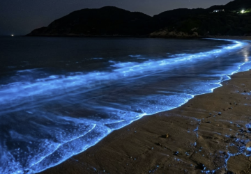 夢幻藍光即將點亮夜空！馬祖「藍眼淚」季暖身起跑